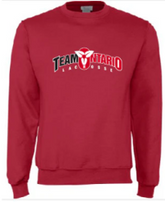 FAN WEAR Champion Eco Fleece Crew